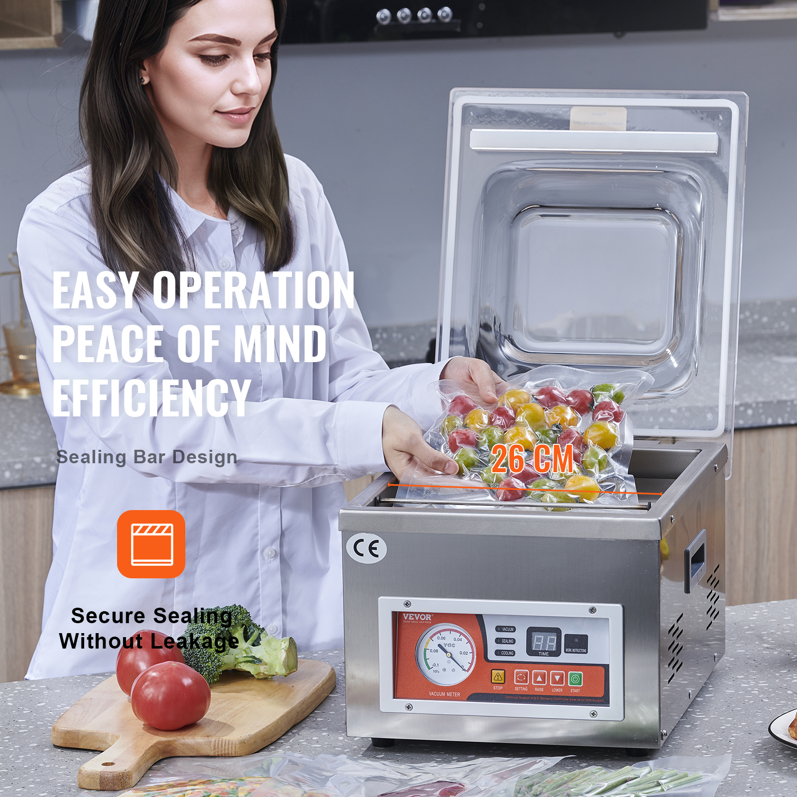 SucceBuy DZ-260A Chamber Vacuu - đánh giá và giá Vacuum Sealer